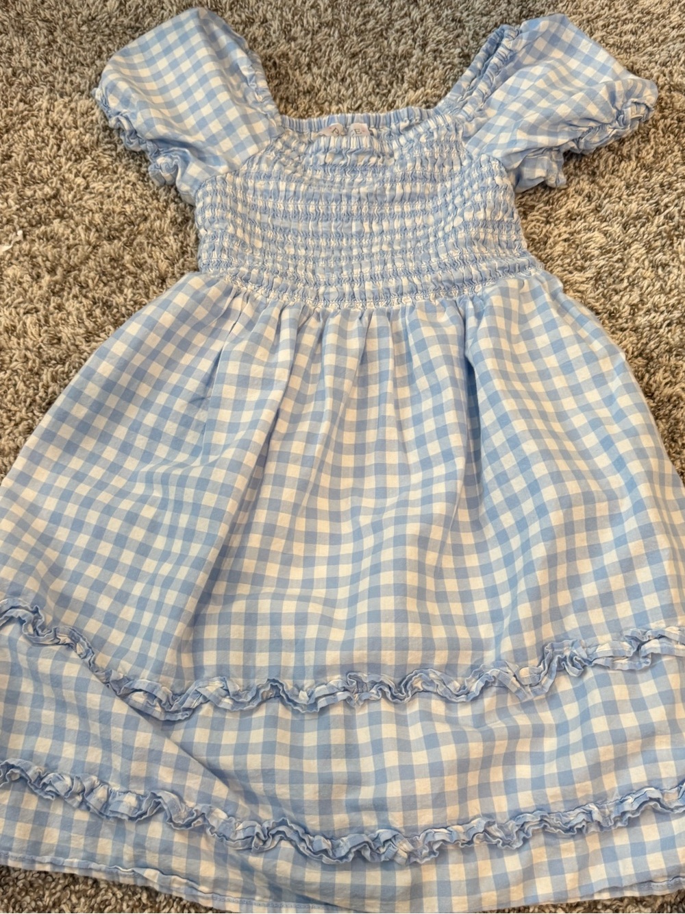 Place Light Blue Gingham Smocked Puff-Sleeve Dress